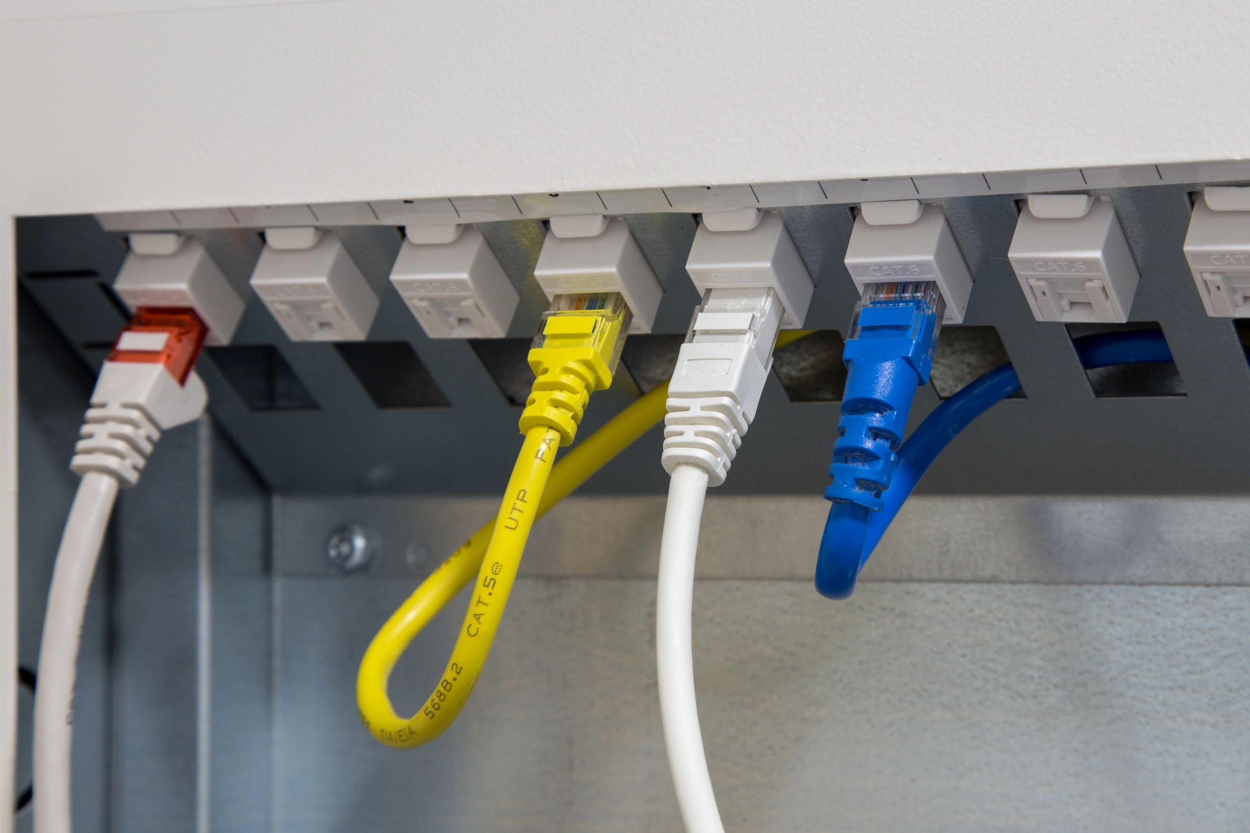 Ethernet cables connected to a network switch